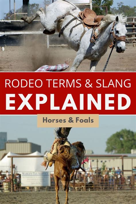 rodeo terms and definitions